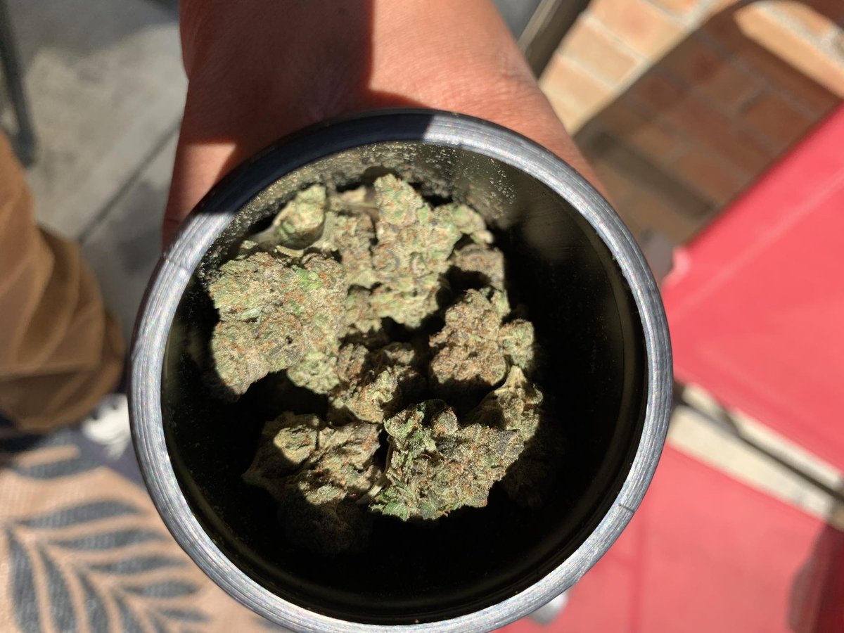 ThaWeedGod's tweet photo. #glofarms came thru with the #dirtytaxi this is some shit fire lol #thaweedgod 😶‍🌫️⛽️💨 https://t.co/Hw0kWip06P