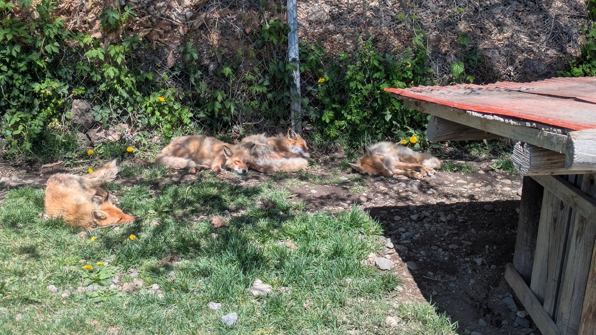 それはディズニーに興味があるわけではないんだな…好きなら一人でも