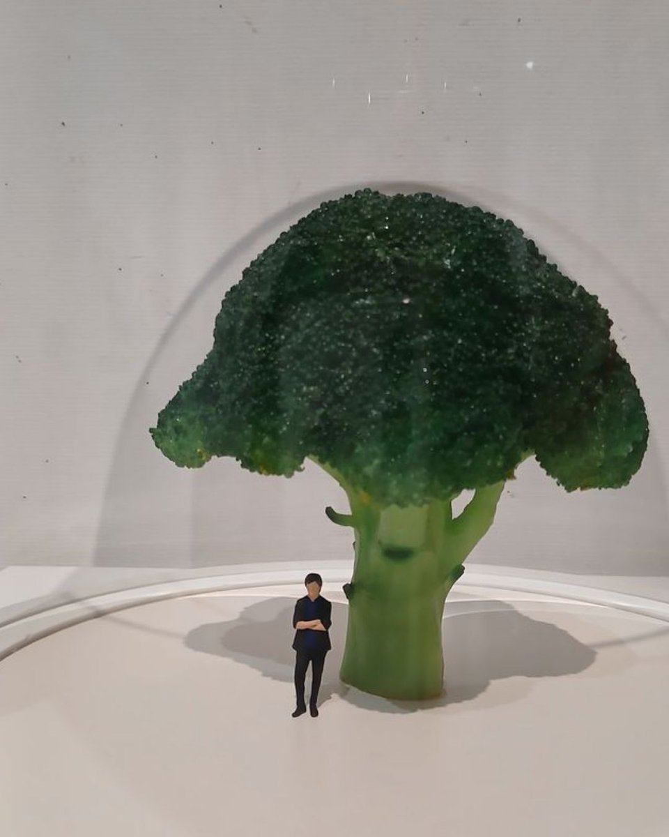 MINIATURE_LIFE's tweet photo. 「ミニチュアライフ展2」 in 佐賀
本日が最終日です。
たくさんのご来場、本当にありがとうございました。
本日は会場周辺の混雑が予想されるため、公共交通機関でのご来場をおすすめします。
最後の一日も会場でお待ちしています。 https://t.co/MSmiloSGpn