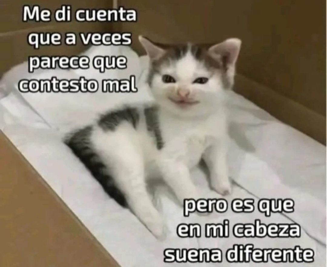 Medusa_red_lips's tweet photo. Jajaja https://t.co/SymgXM2QIC