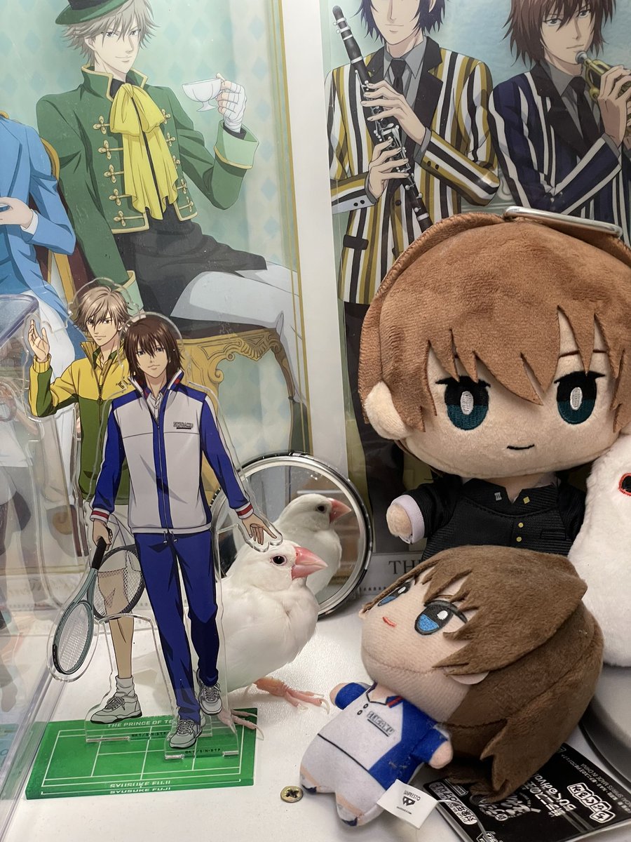 大膝蓋 tweet media