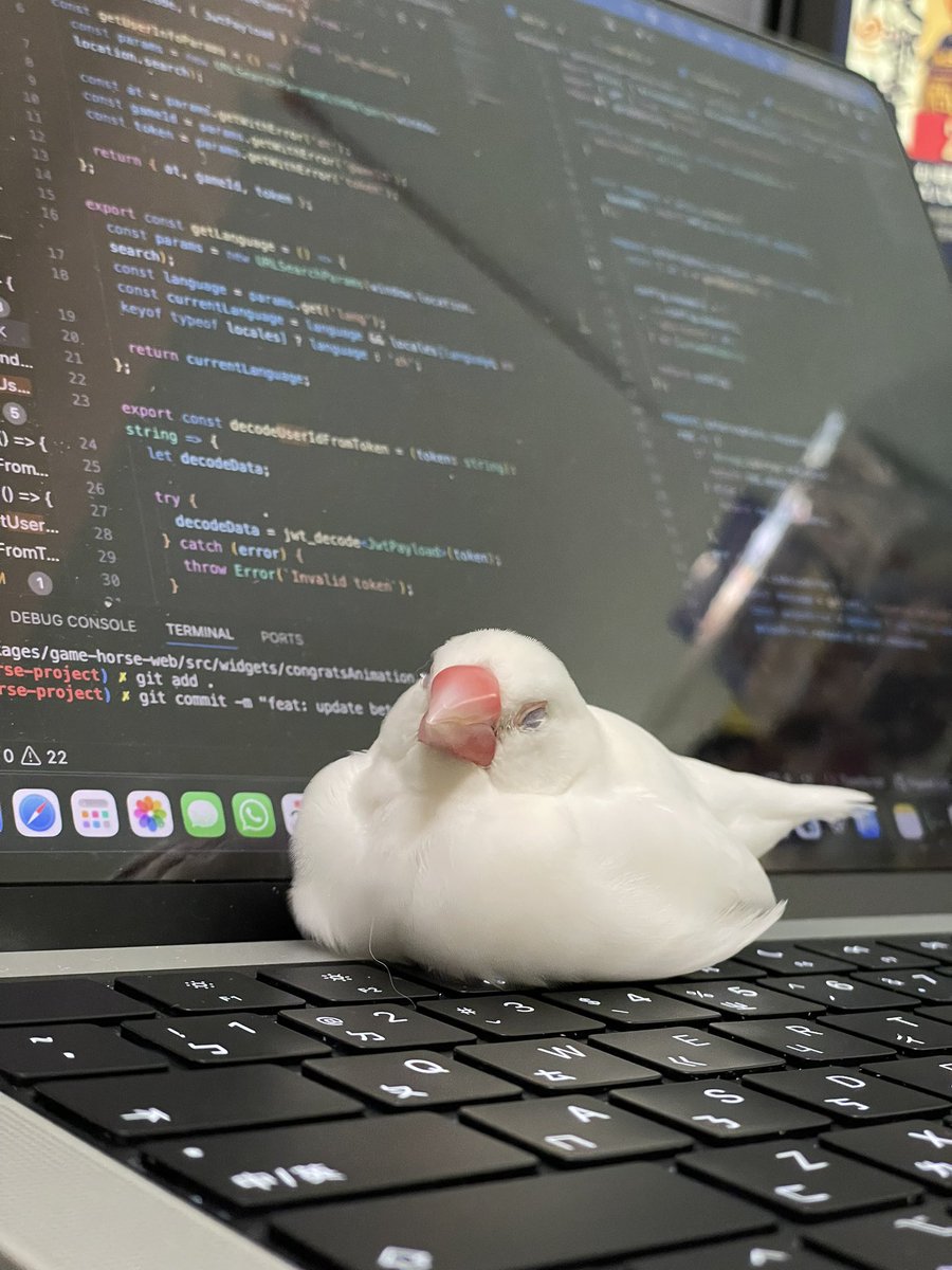 大膝蓋 tweet media