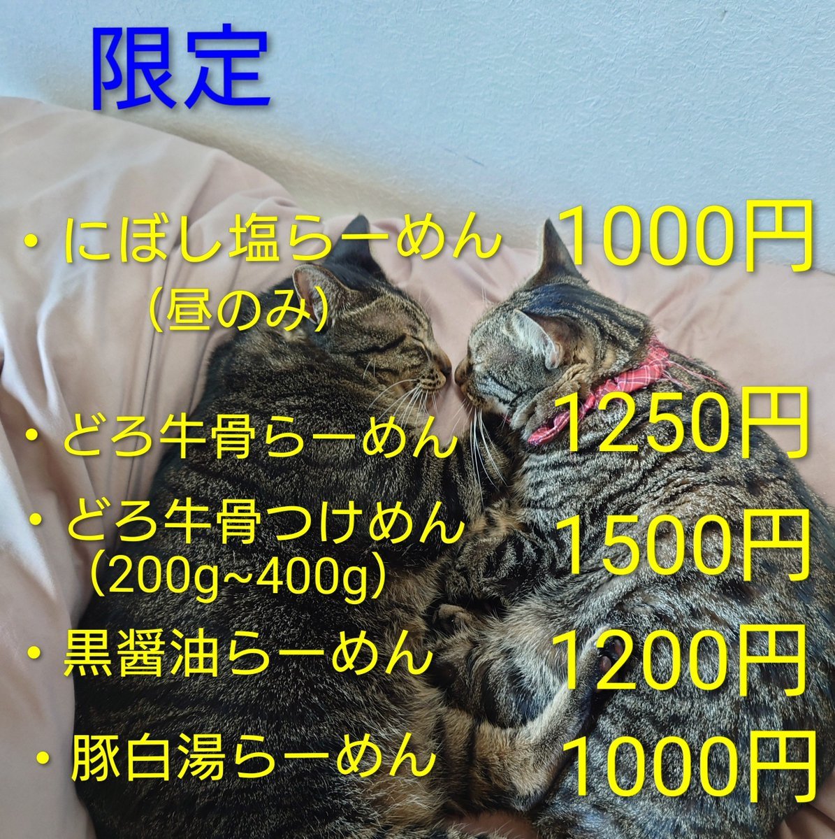 弘雅流製麺(住吉)女将アカウント🍜 tweet media