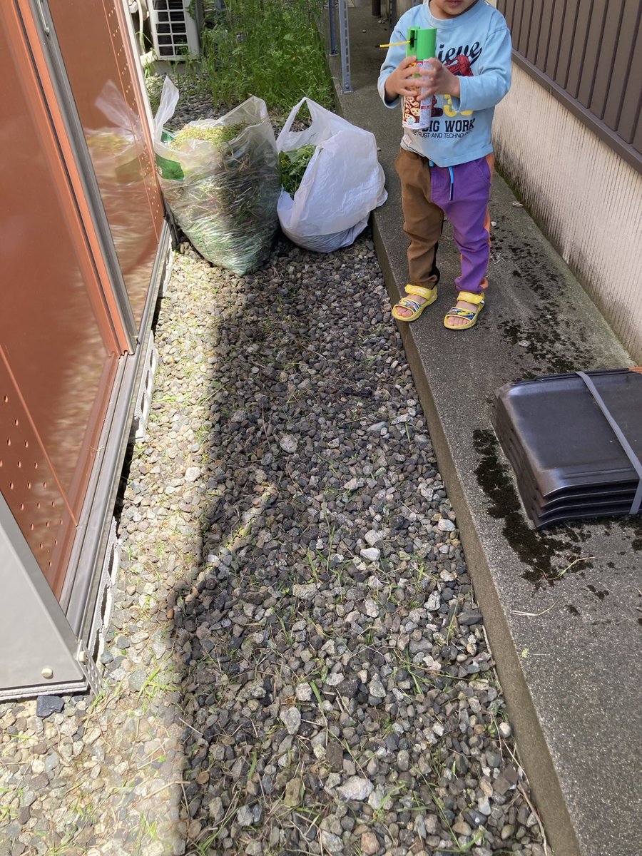doro_run's tweet photo. 休日ラン🩴ゆるBU6キロ

久々に家裏の草むしり🌱
小僧はダンゴムシに夢中でした🤩 https://t.co/O6DBNIg0DG
