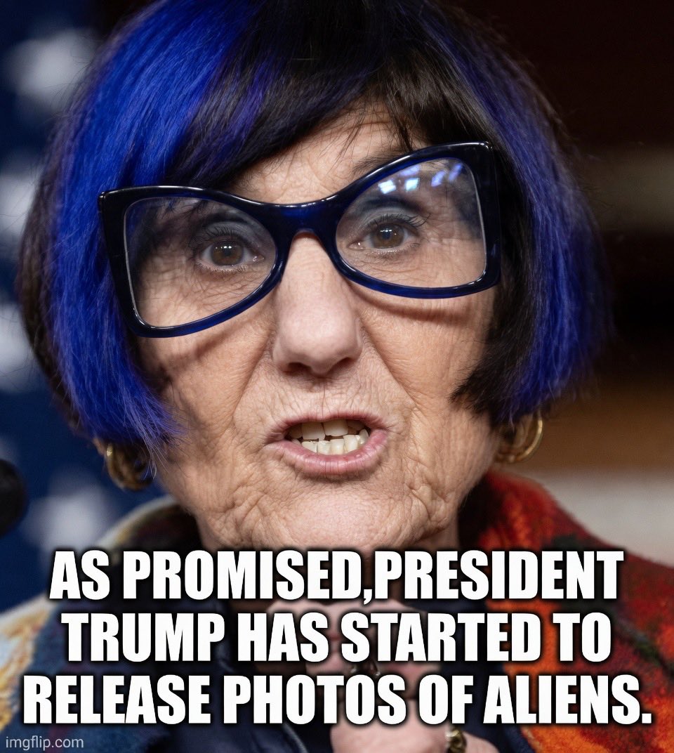 Stacy Ann tweet media