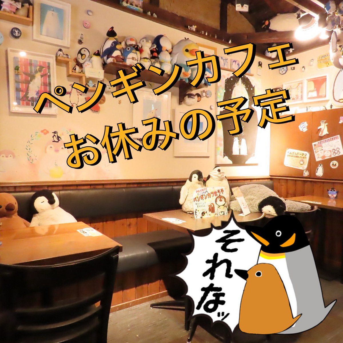 基本的に水曜日が定休日🐧💤 ・5月30日（土）貸切りのため17時まで