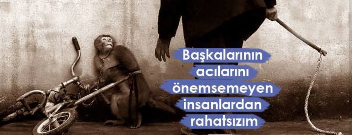 Kadir GÜNDOGDU 🇹🇷 tweet media