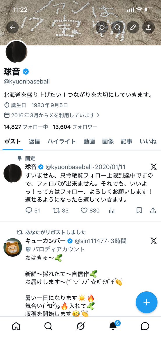 球音 tweet media