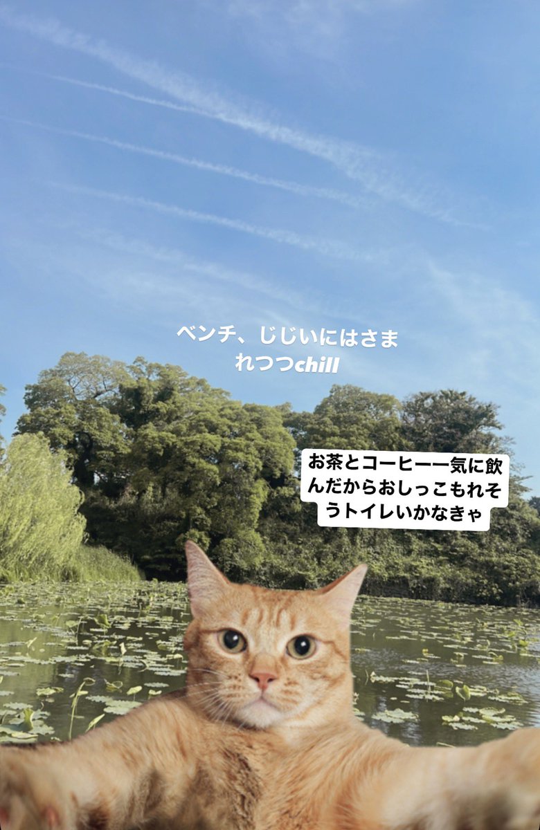 ___hotate86's tweet photo. 私のインスタストーリー https://t.co/eyv4XOZgQk