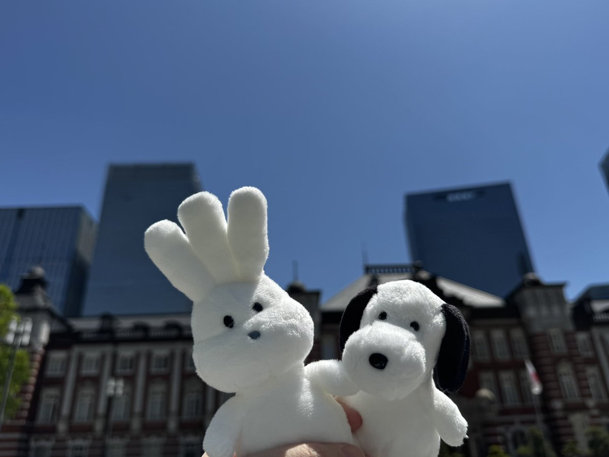 tabamin2618's tweet photo. おじぎちゃん、ヤメピここが東京駅だよ🚉 https://t.co/PucXTEZefh