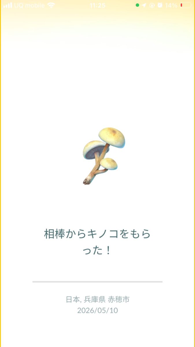 米衛門 tweet media
