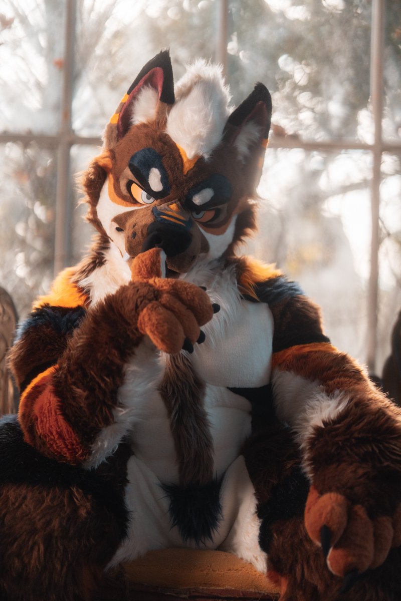 Arthsekiren's tweet photo. 🧡@opalu0823

#FursuitEveryday 
#fursuitphotographer https://t.co/OTG07uIXao