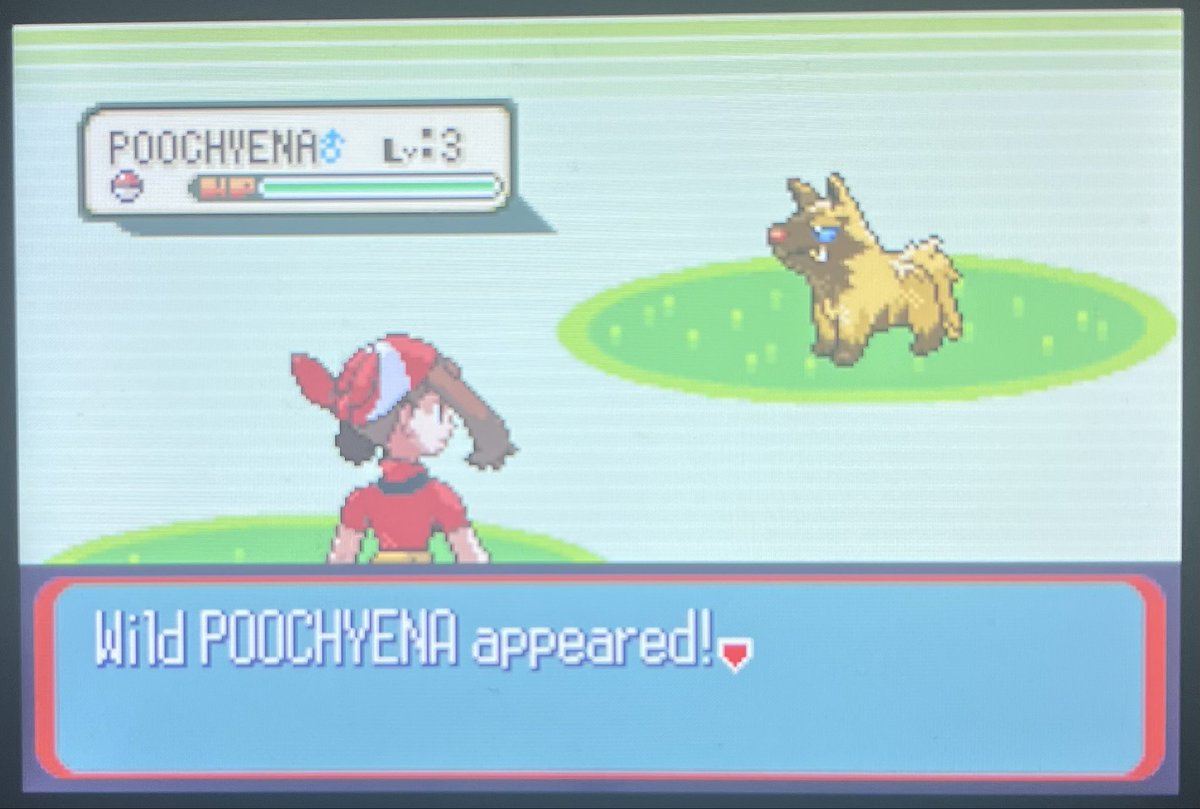 ShinyHunter_DD tweet media