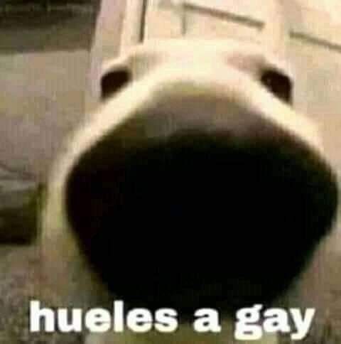 chairoSpaidi's tweet photo. @androb19267 @GuacamayanLeaks @fernandeznorona https://t.co/Qsiwa9QkQ4