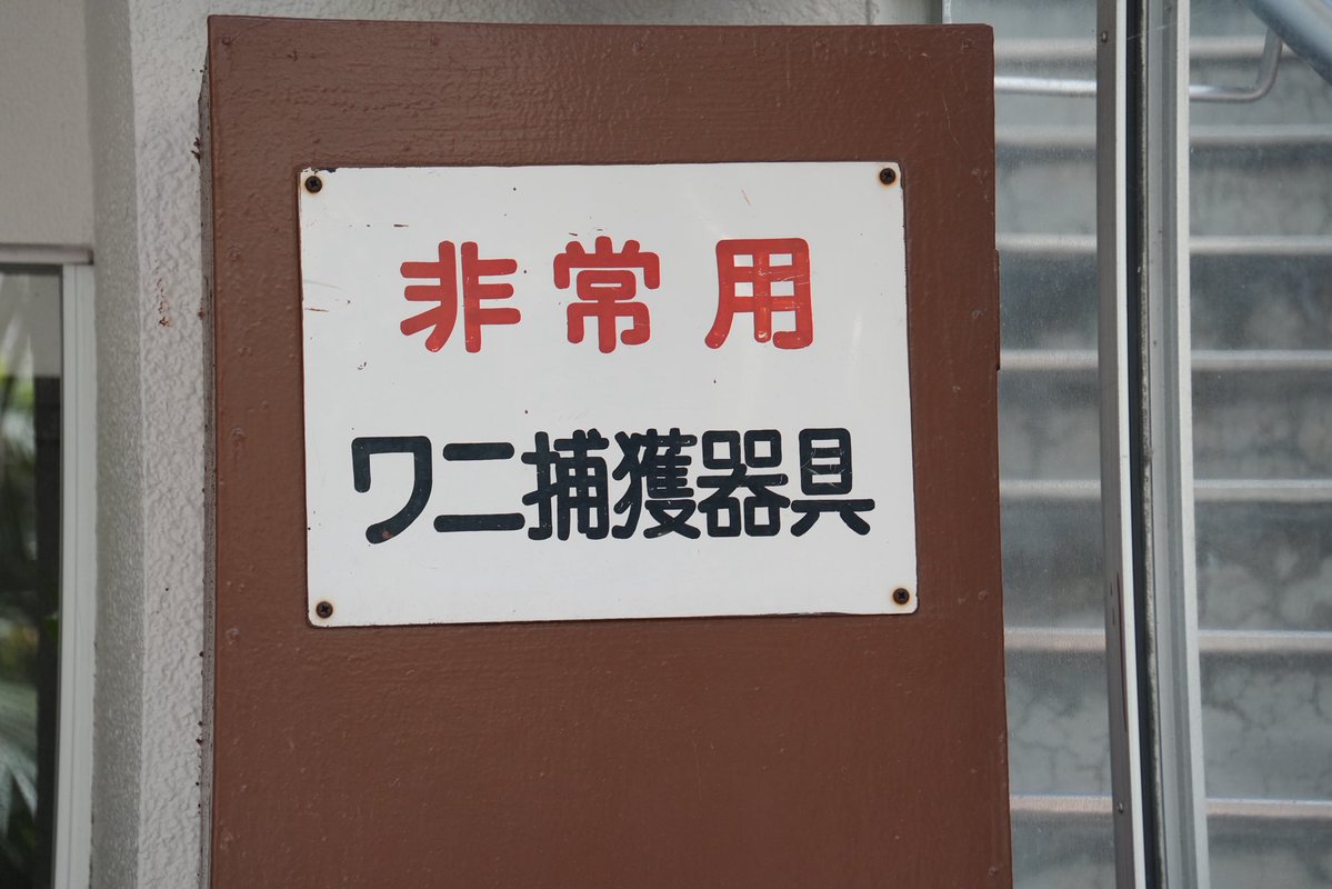 天ぎつね tweet media
