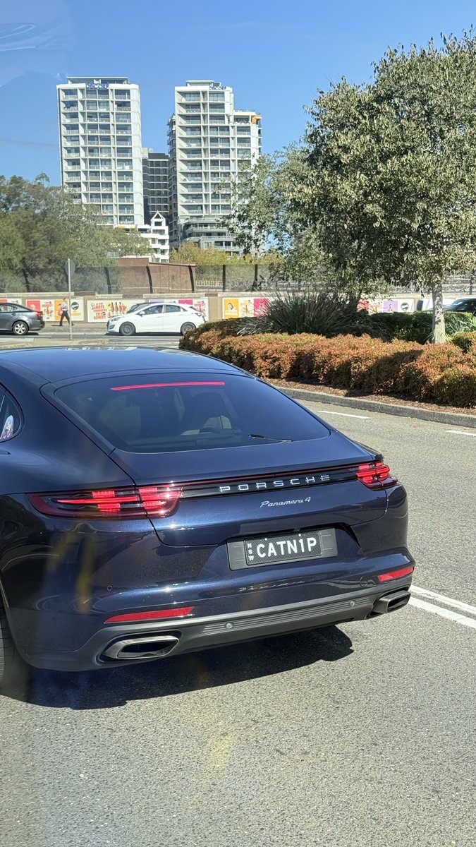 ohmnathadon's tweet photo. Tell me you're a crazy cat person without telling me you're a crazy cat person
#PorschePanamera #Catnip #CarSpotting #FelineFast #CustomPlates https://t.co/5flLUuzU53
