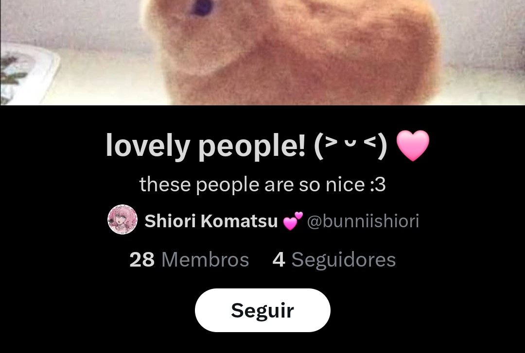 usagi♡ちいこ様♡ありがとうございます♡ ちいかわ まじかるちいかわ スマホに貼れるサイズのホログラム