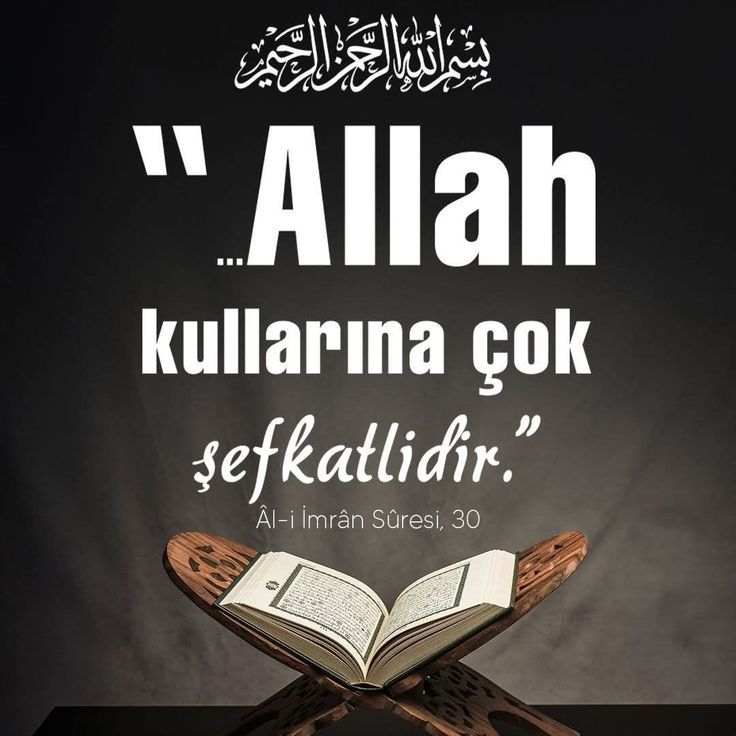 Gül tweet media