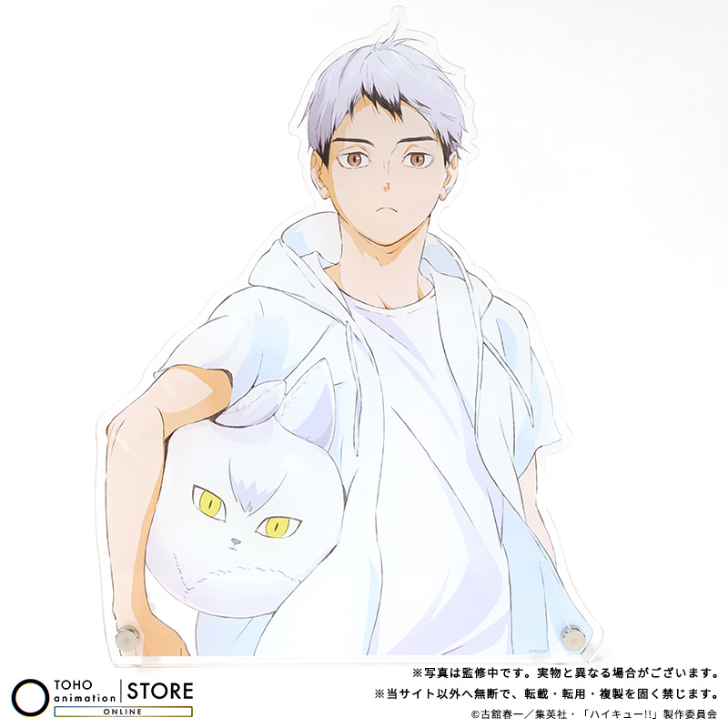 TOHO animation STORE ONLINE tweet media