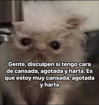 FraseSimple's tweet photo. https://t.co/3m0NJojIVW