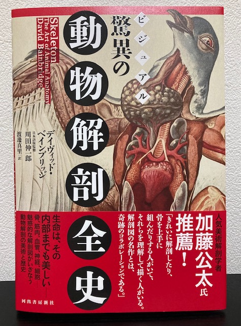 有村元春/ Motoharu Arimura (@011235Moto) / Posts / X