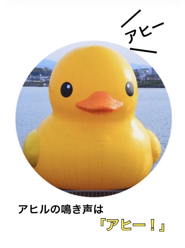 マイケル tweet media