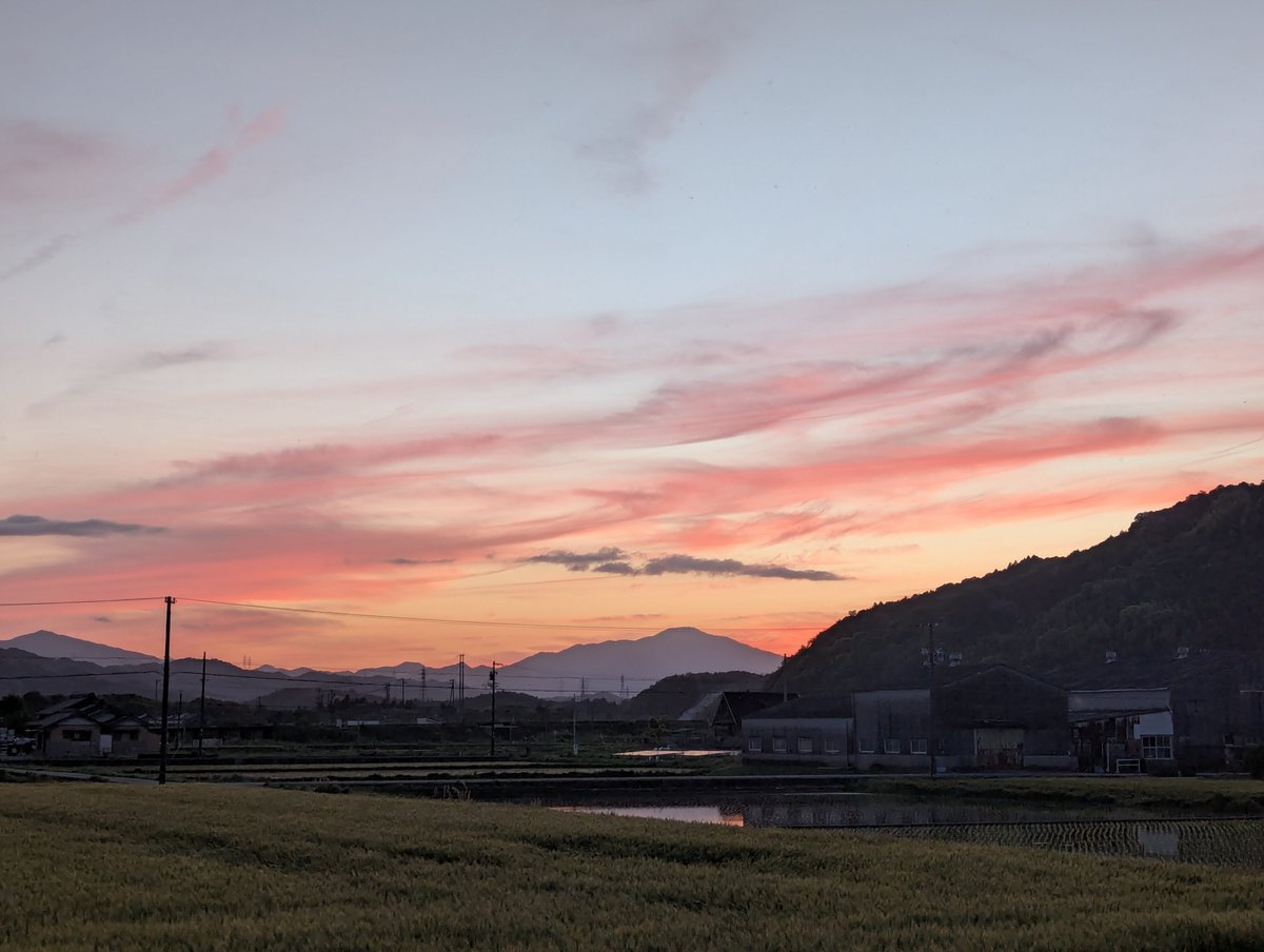 旅先での写真 tweet media