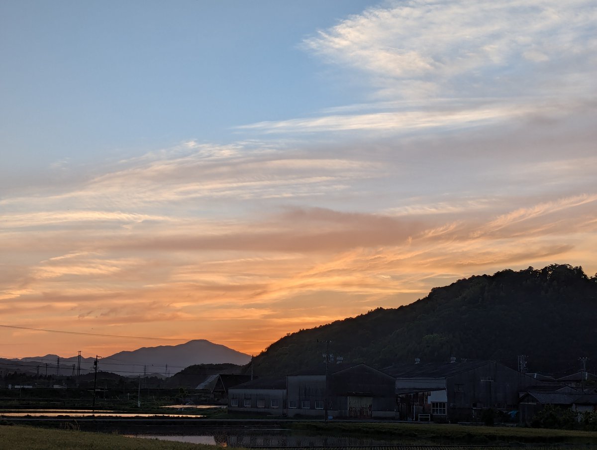 旅先での写真 tweet media