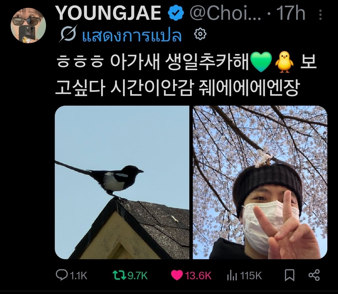 Sasitorn🐰𝕄𝕋🐍∋∈ 💚 TleFirstOne☔️💚🩷 tweet media