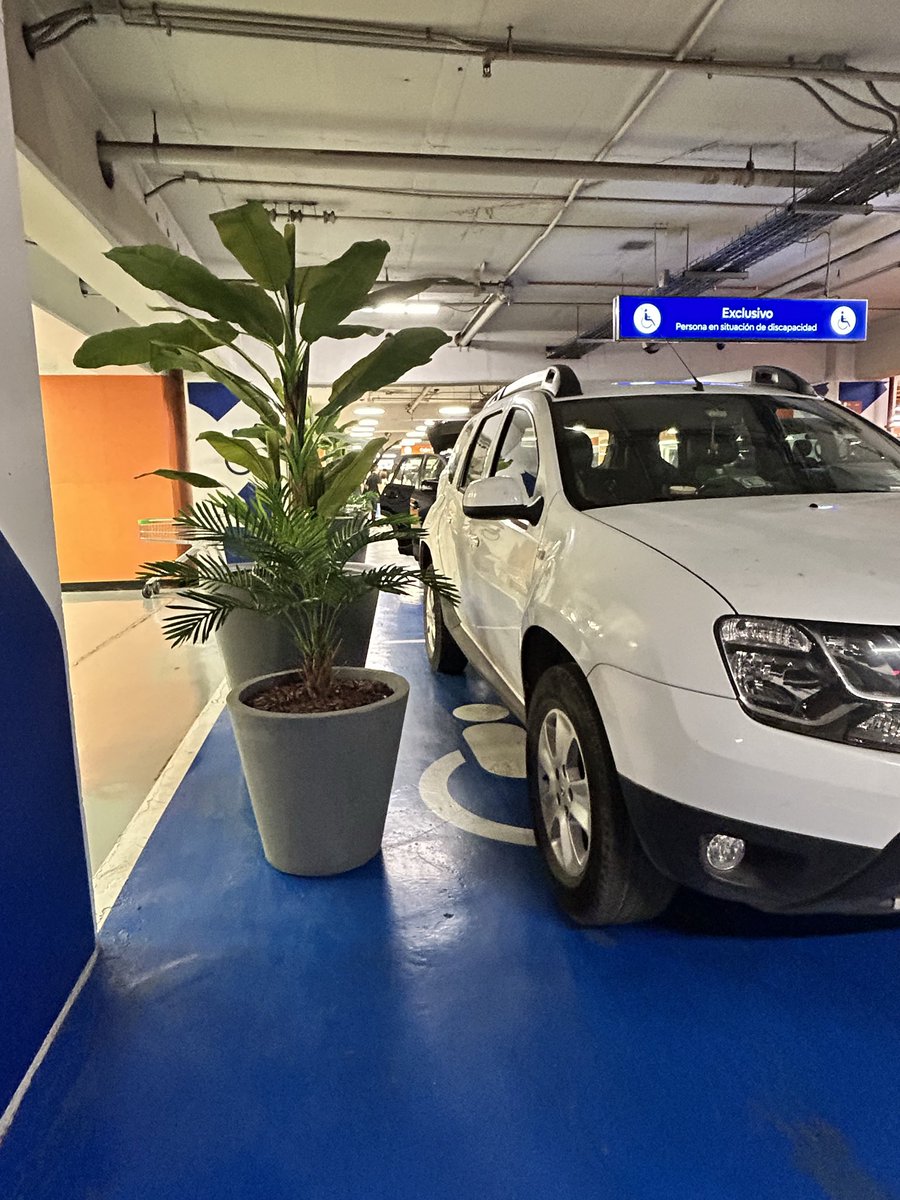 DebyDebycc's tweet photo. Necesito denunciar condiciones en q se encuentran estacionamientos de discapacidad en Costanera @CencoMallsCL El mall utiliza espacio designado para poner sus macetas de adorno. Tuve dificultad para q mi acompañante bajara. Corrijan! El espacio debe estar 100% disponible siempre https://t.co/qT60M8Ogq1