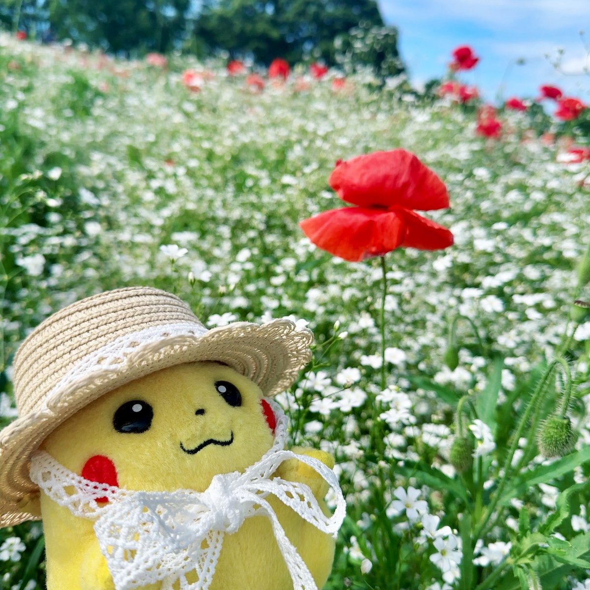 aya96131696's tweet photo. 💐 https://t.co/3oEc1HwpUm