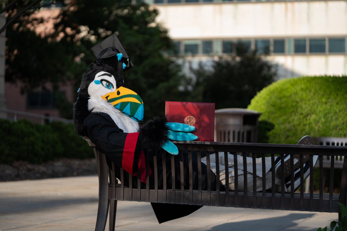 🐦 Ferris tweet media
