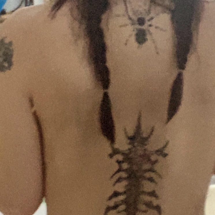 iiiinsect's tweet photo. life lately https://t.co/gYVa2fKFNv