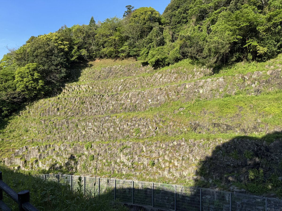 ぐら tweet media