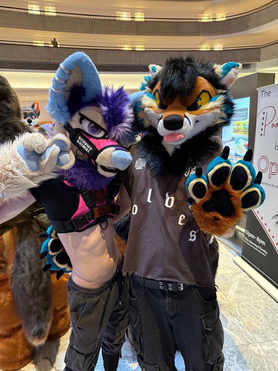 Shy🔜 FWA, AC tweet media