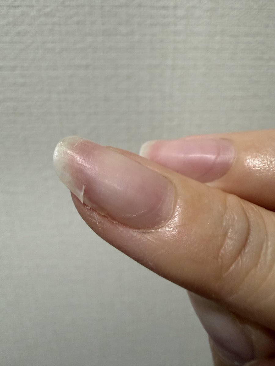 お米粒 tweet media