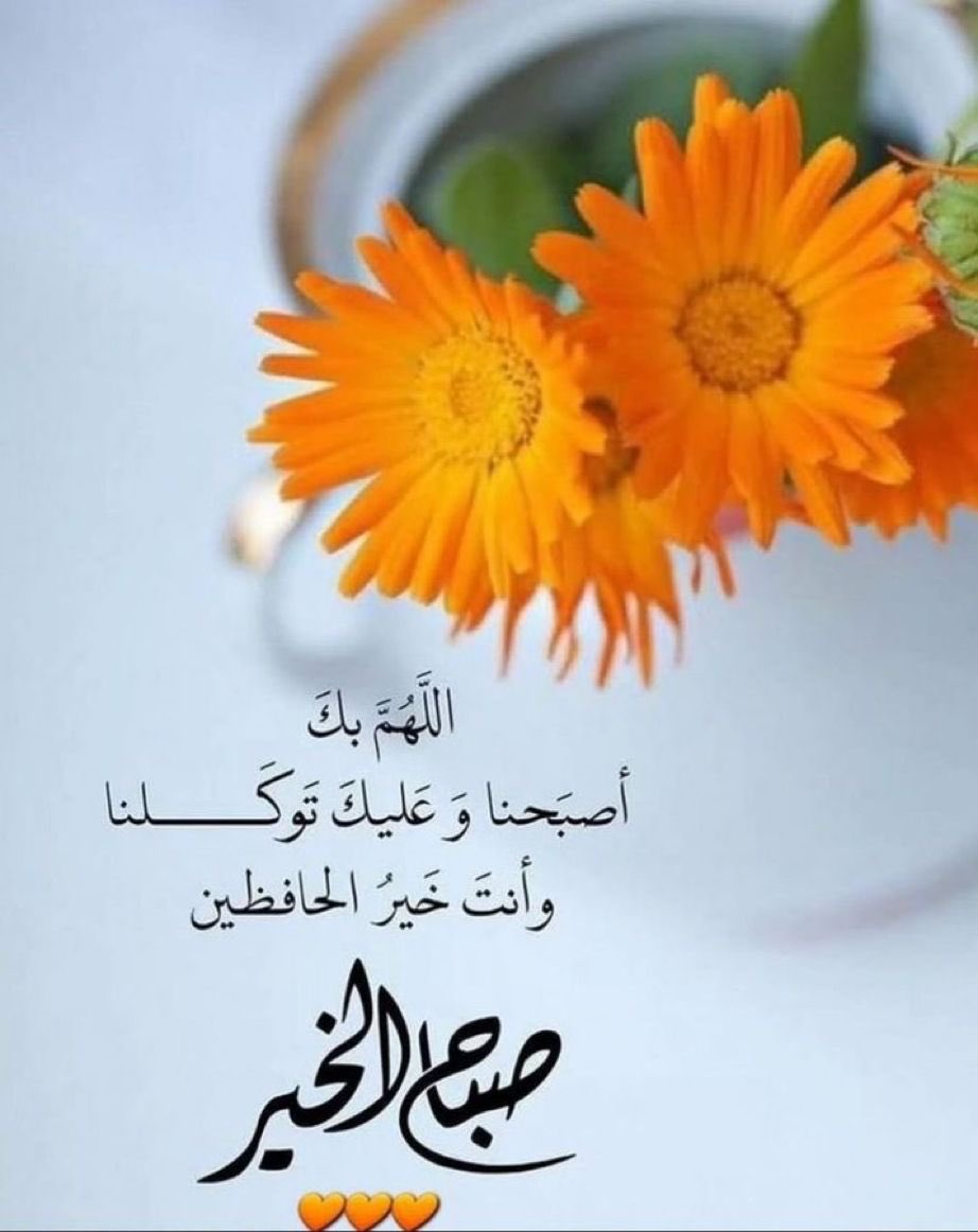 اَلَْشَّاَمِخْ🇸🇦 tweet media