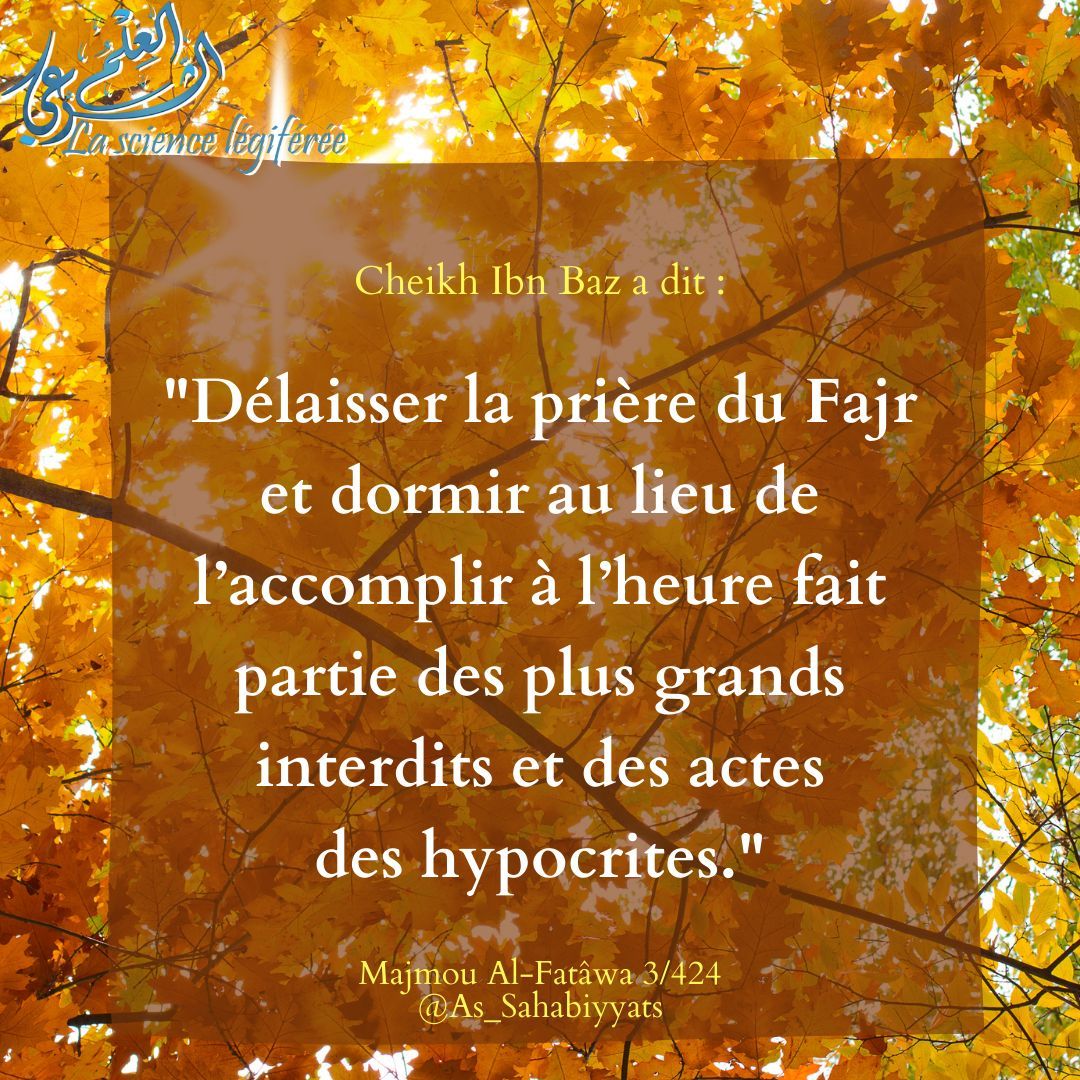 moussa_tawhid tweet media