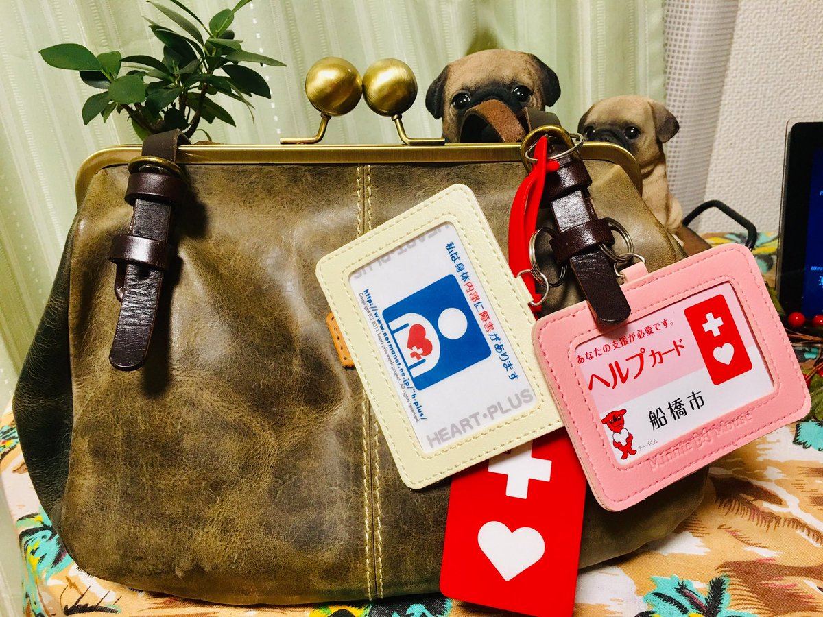 真琴🍀 tweet media