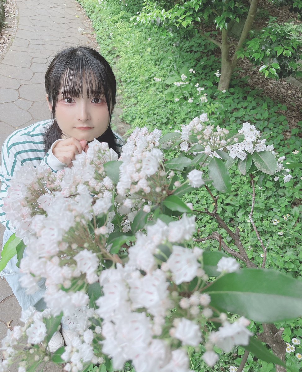 真白莉早 tweet media