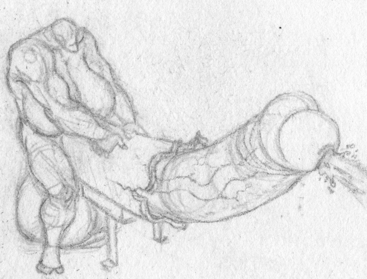 sqyoma's tweet photo. Sketch of Wyatt breaking a breeding mount. 

May change the dick's tip pointing "position" and will totally improve this in the future, who knows. https://t.co/NYaxZtoWpF