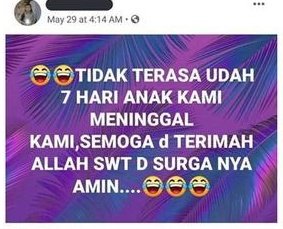 akun hewan | tapi bukan tweet media