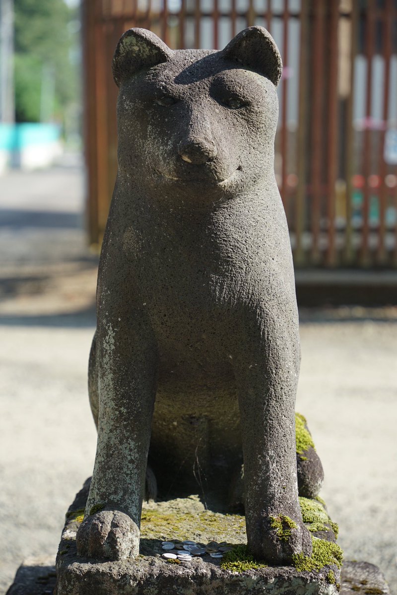 秋田犬として表現されている狛犬一対（大館八幡神社） 市が秋田犬の