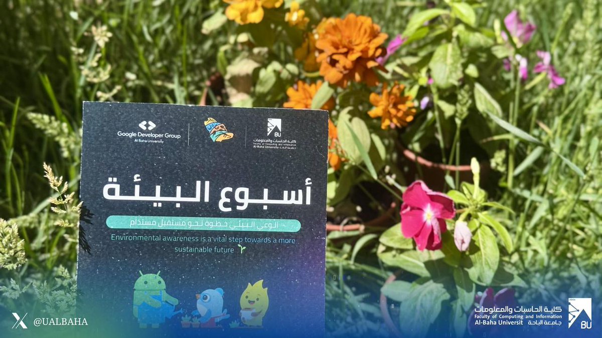 كلية الحاسبات والمعلومات tweet media