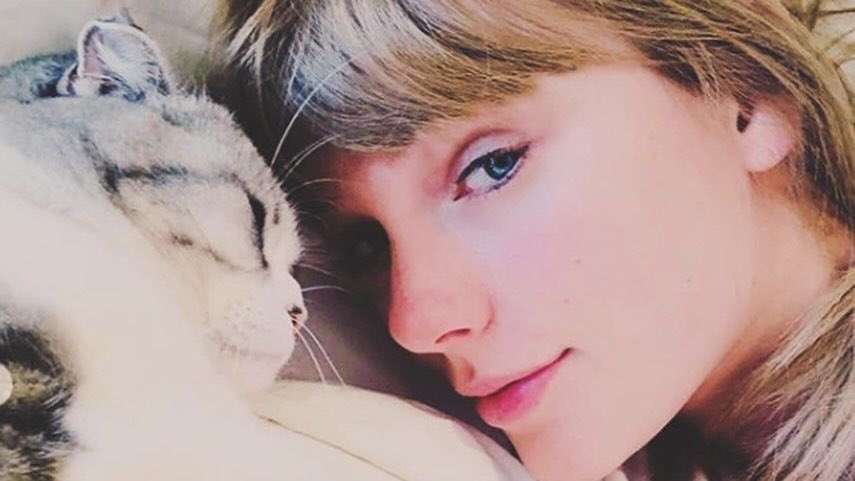 Update Swift Brasil tweet media