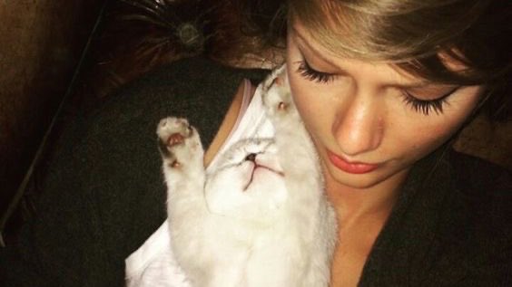 Update Swift Brasil tweet media