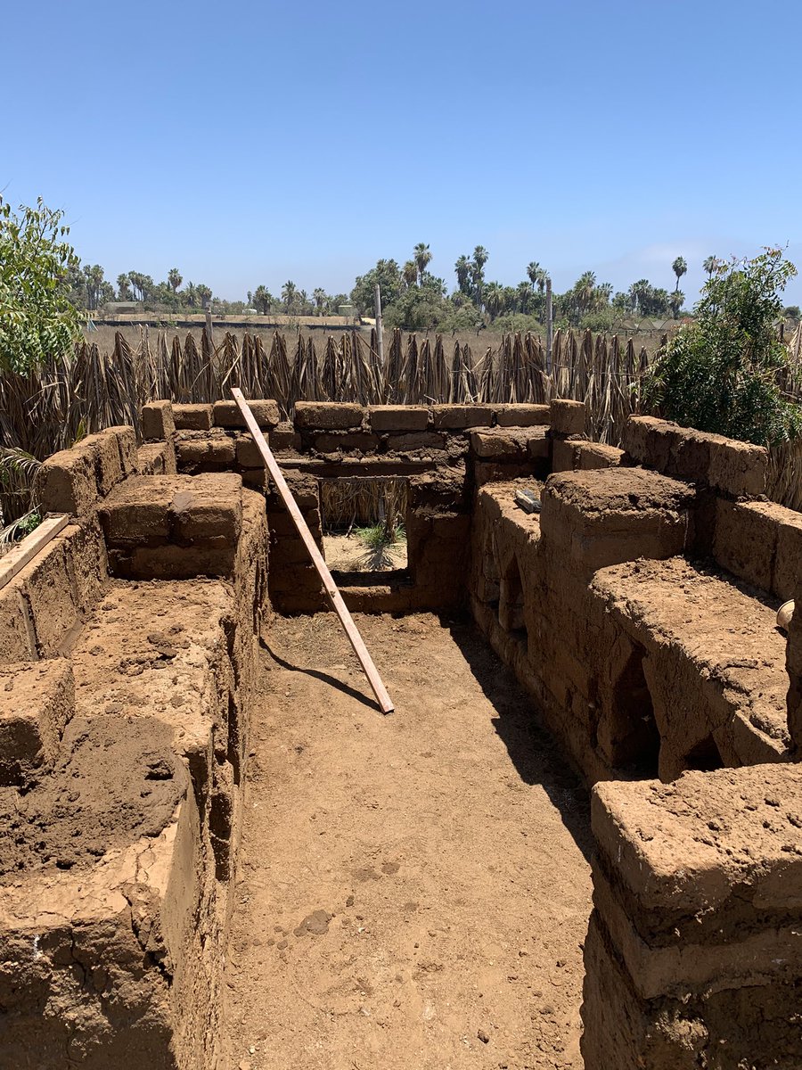 BAJADOBE (QUICKLIME MAXIMALIST) tweet media