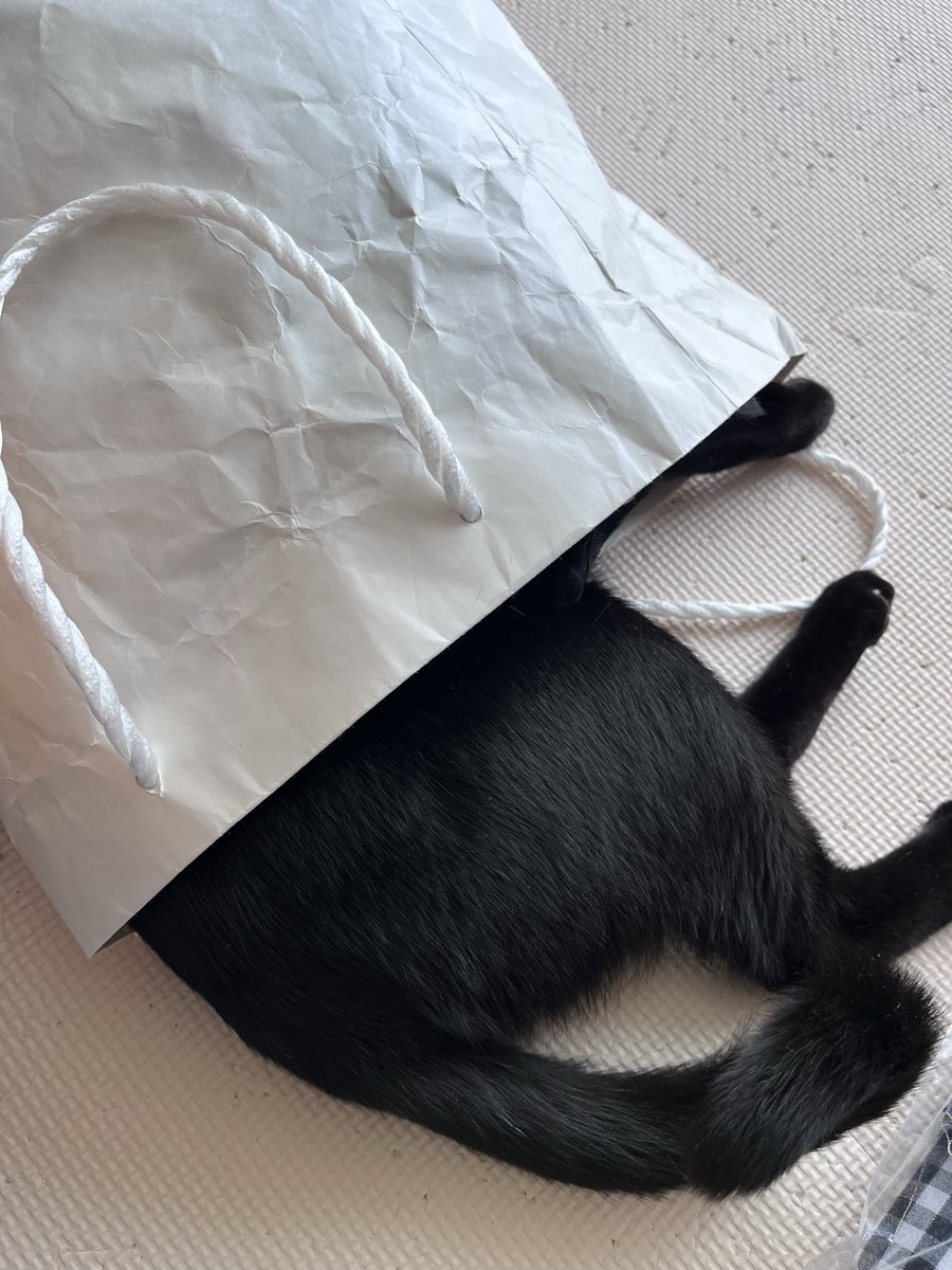 minako375e's tweet photo. やめて。 https://t.co/MEq05KUbkH