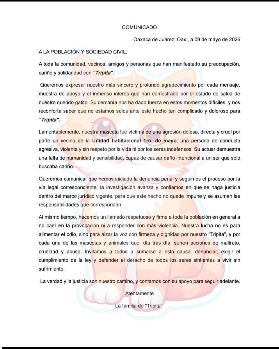 CentralQNoticia's tweet photo. FAMILIARES DE TRIPITA AGRADECEN APOYO ANTE CASO DE AGR3SIÓN; EL GATITO CONTINÚA RECUPERÁNDOSE ❤️🩹🐱
En un comunicado, también se dió a conocer que ya hay acciones legales.
Nota: https://t.co/Y3O7CYOa74
#CentralQNoticias #Oaxaca #Noticias #Tripita
https://t.co/LtmWu6taJ3 https://t.co/duD6wa4vJ2