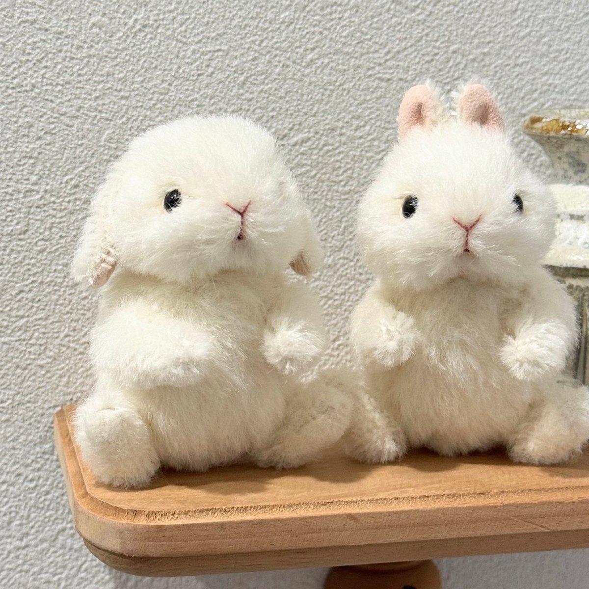 出展名：Bonita Rabbits 出展日：5/23,24両日 ブース番号：西館4階N